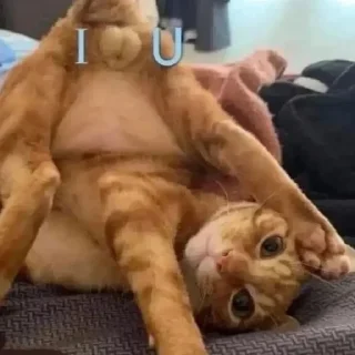 😍
