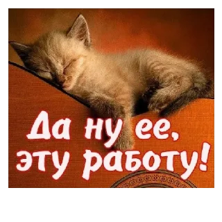 😴