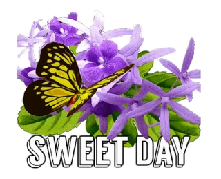 🦋