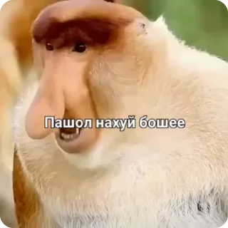 🖕