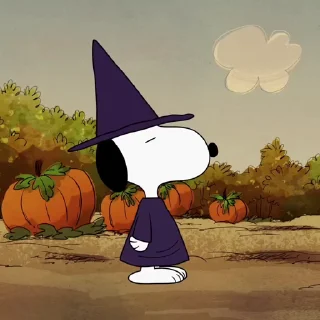 🍀