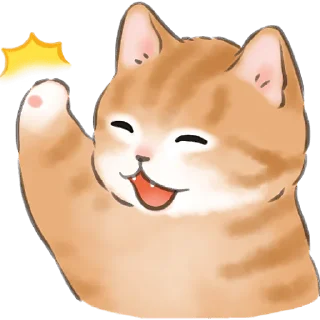 🤚