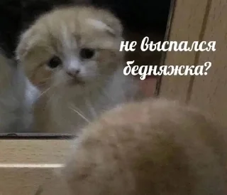 😭