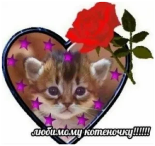 😍