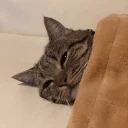 😴