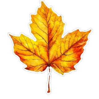 🍁