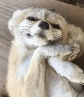 😜