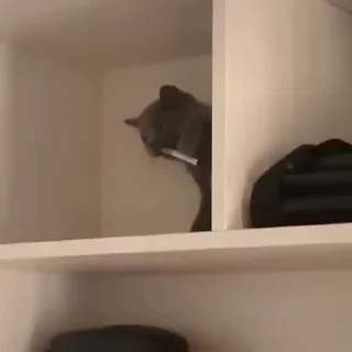 🚬