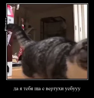 ☺️