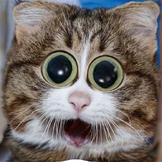 😳