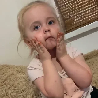 🙀