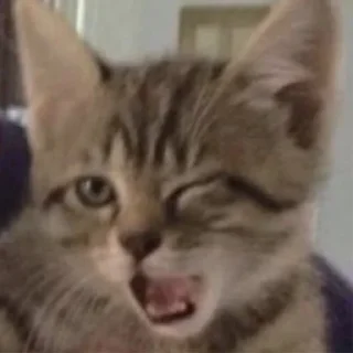 😉