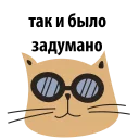 😎