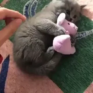 😣