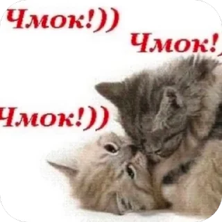 😘