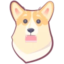 🐶