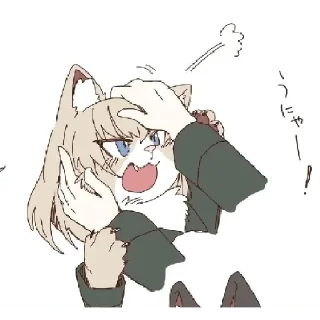 😾