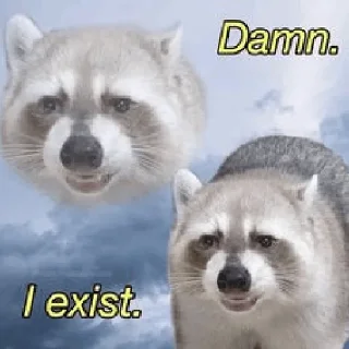 🫥