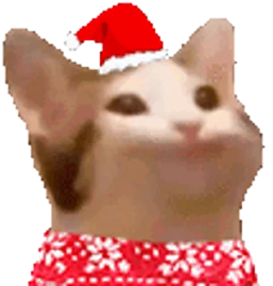 🎅