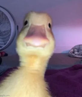 😎