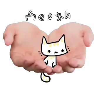 🐱