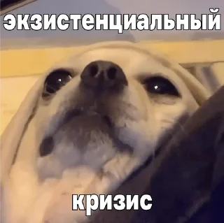 🪦