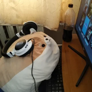 🖥️