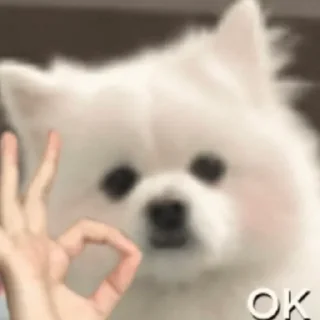 👌