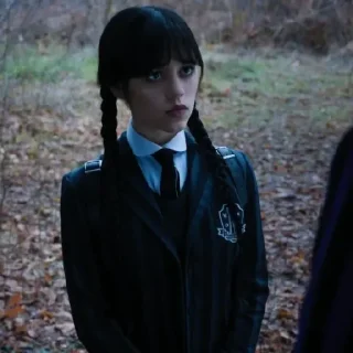 🕸