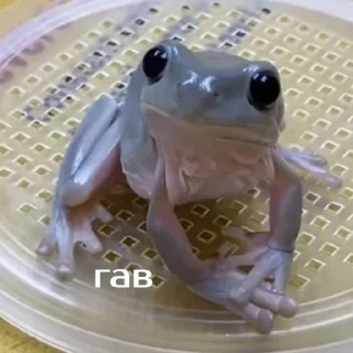 😃