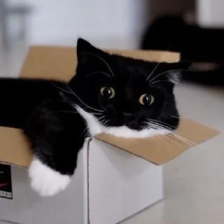 ☺️