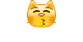 😽