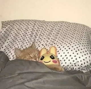 😴