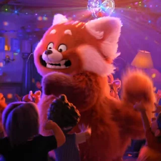 🎉