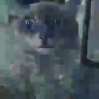 😳