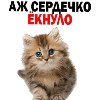 😄
