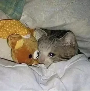 😣