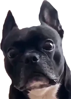😐