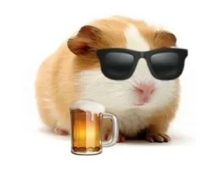 🐹