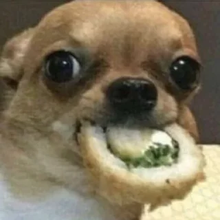 🍣