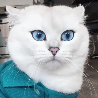 💙