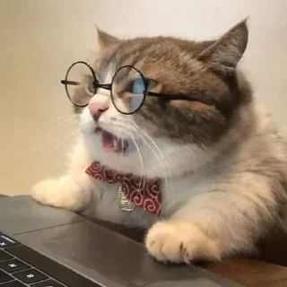 🤓