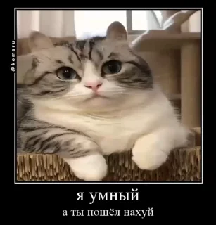 😜