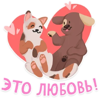 ❤️