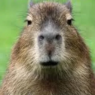 😐