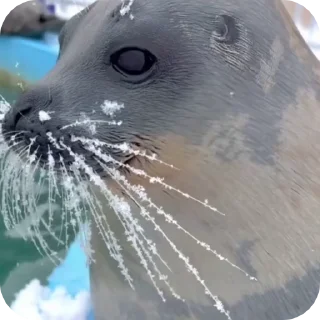 😉