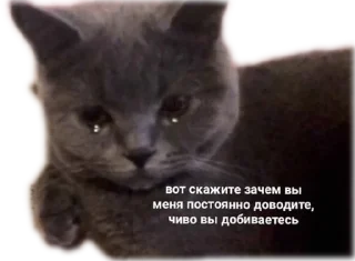 😢
