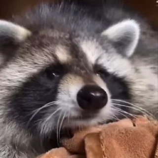 🥱