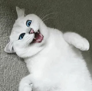 💙