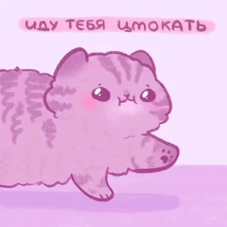 💗